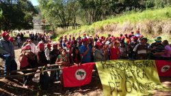 mst-invade-fazendas-de-amigo-de-temer,-de-ricardo-teixeira-e-da-familia-de-ministro-da-agricultura